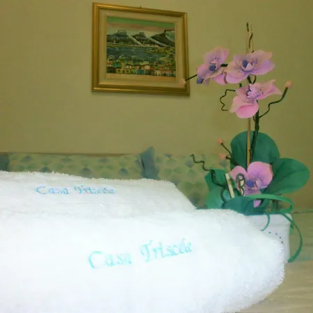Triscele Apartmán *